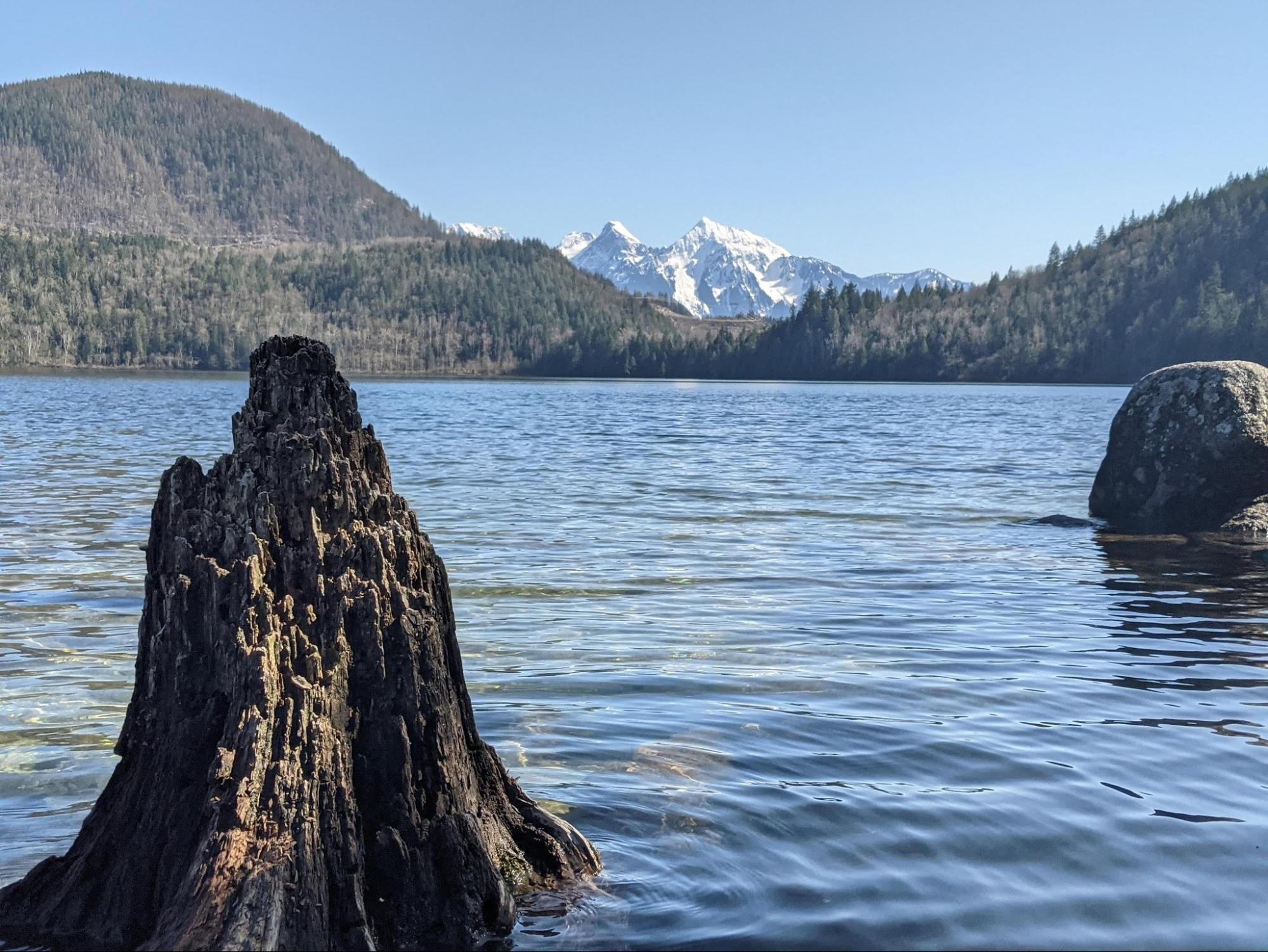 View of Mount Cheam in the distance from across Hicks Lake in Sasquatch Provincial Park, BC, Canada. 
 