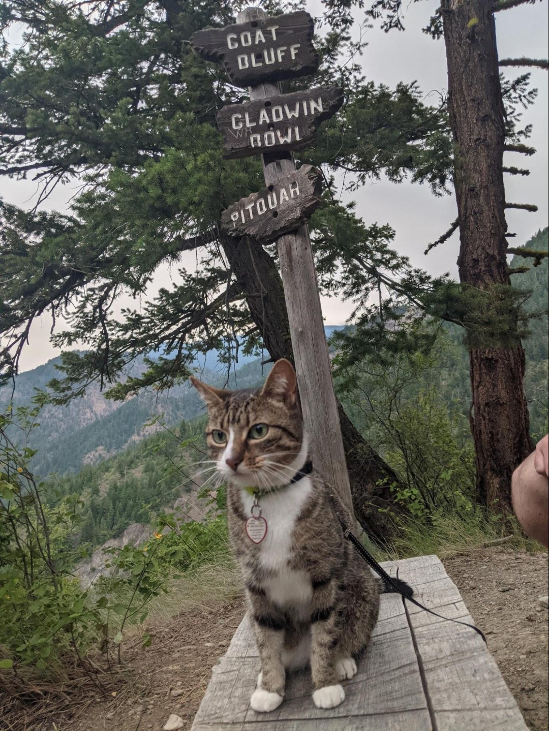 Benny at Goat's Bluff at Skihist Provincial Park, British Columbia, Canada.  