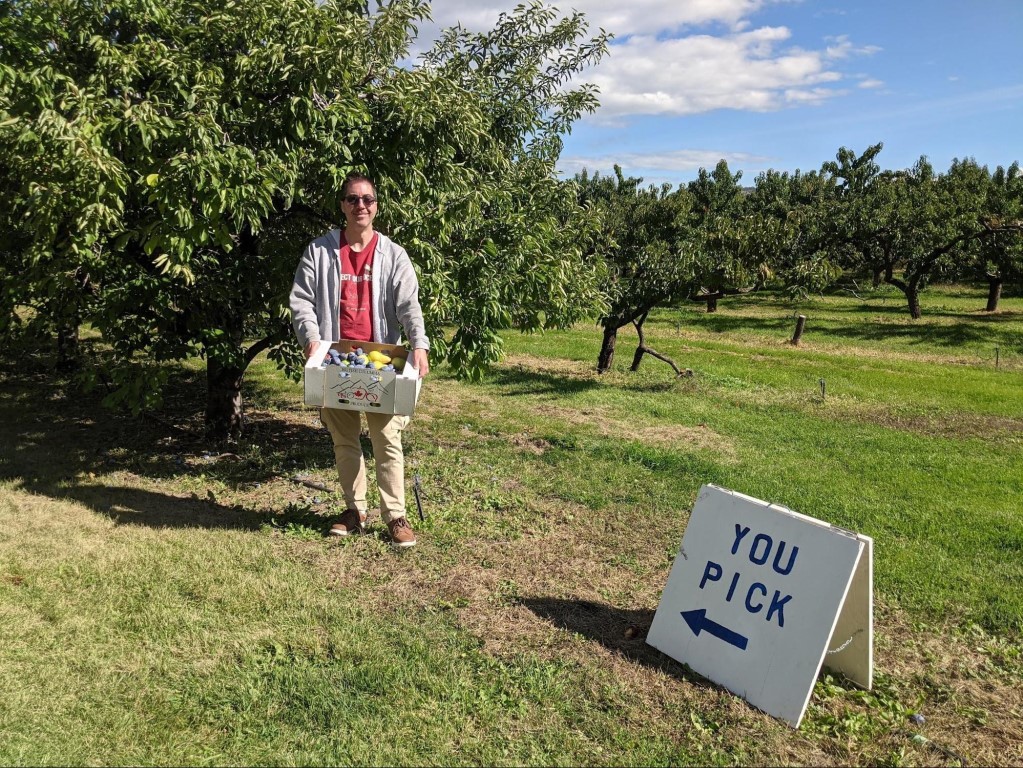 Jay holding a box of freshly picked apples, pears, and plums in the orchard at the Paynter's Fruit Market. 