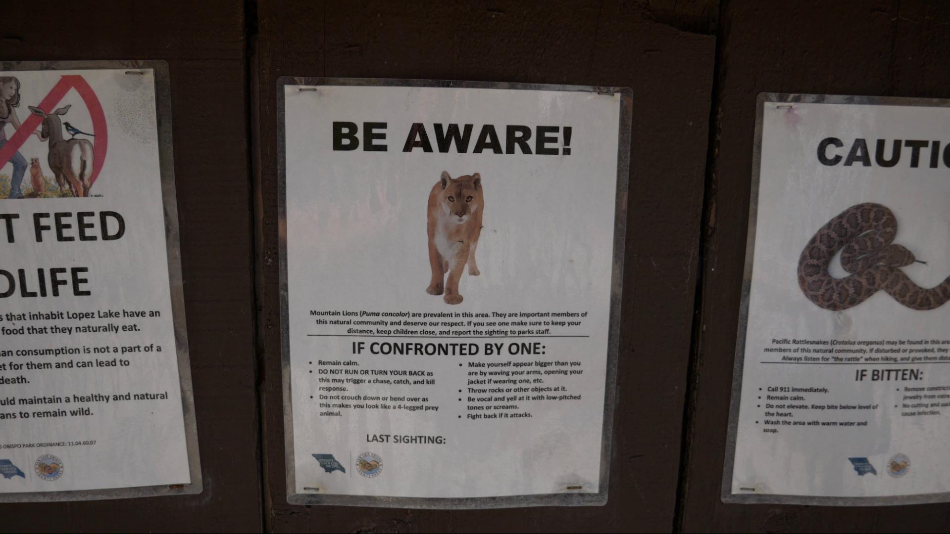 Lopez Lake is home to a lot of wildlife including bears, cougars, and rattlesnakes. Signs posted at the entrance and throughout the park detail what to do if these animals are encountered on your visit. 