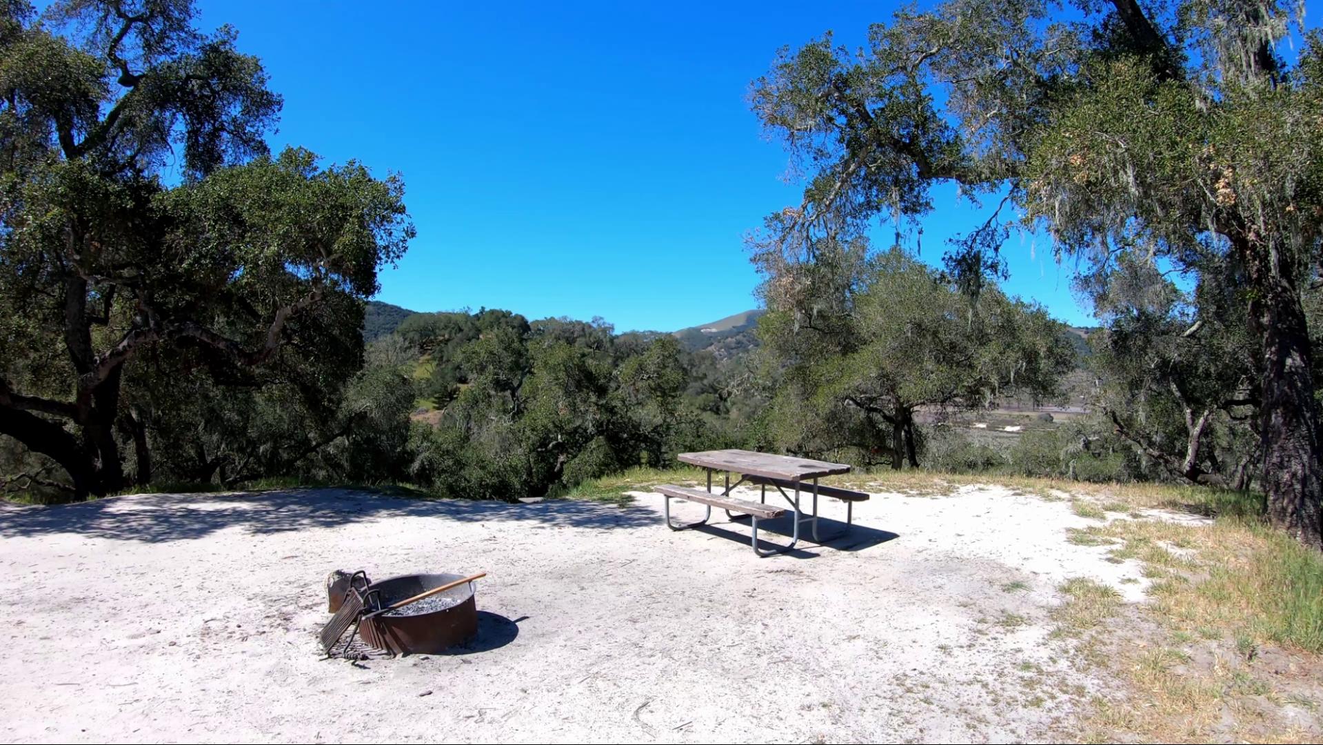 Picnic table and firepit on each site. 