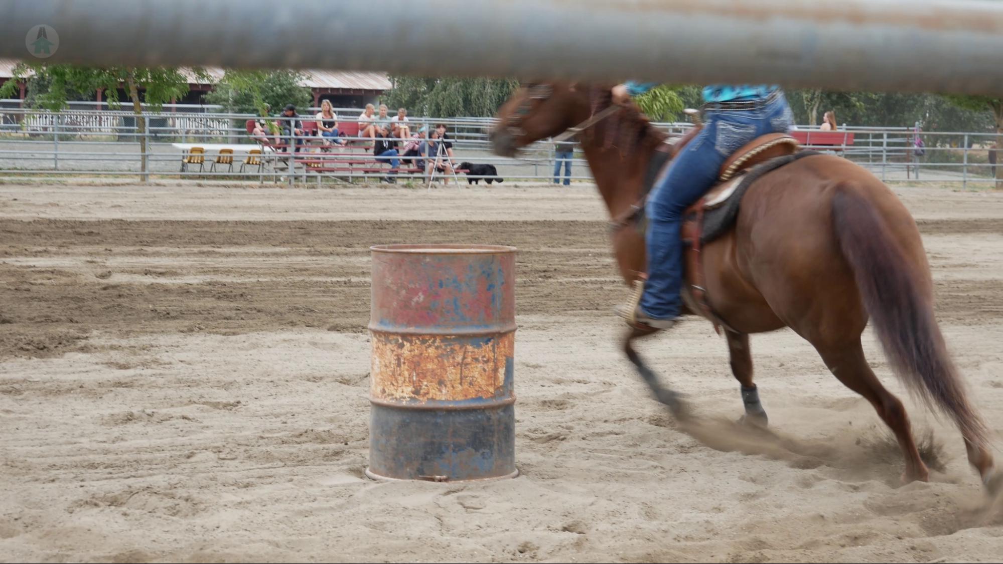 A horse rounds a barrel at the barrel racing contest at the Chilliwack Fair 2021